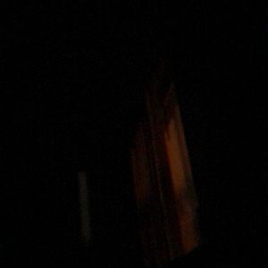 Meet your Posher, Ricky